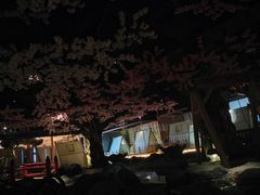 -蓝鲸湾汤泉(包河店)