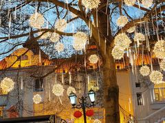-香蜜轩·粤菜·宴会(世界之窗店)