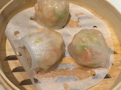 -点都德·毕德寮