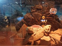 -Mr·Kuma酷么先生雪之乐园