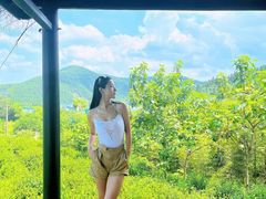 -夏日百货