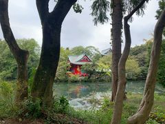 -井之头恩赐公园