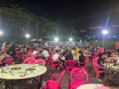 -霞姐屯昌枫木香草鸭店(海螺店)