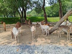 -北京野生动物园