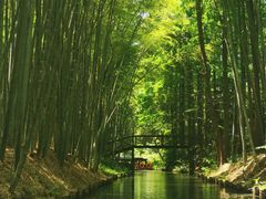 -同里国家湿地公园