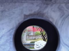 -国家植物园