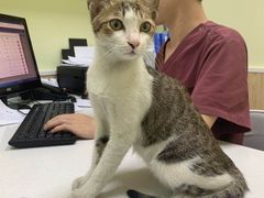 -瑞鹏宠物医院·骨科·猫科·内科(第一中心)