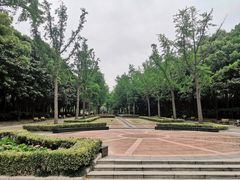 -苏州河梦清园环保主题公园