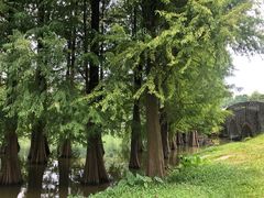 -华南国家植物园-售票处