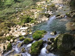 -大七孔景区-天生桥