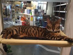 -小时光咖啡馆(开森度假森林店)