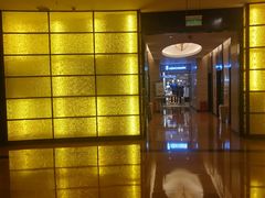 -武汉江城明珠豪生大酒店