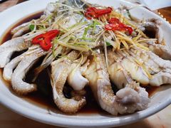 -煲来饱去冷水鱼