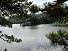 -庐山风景区花径公园