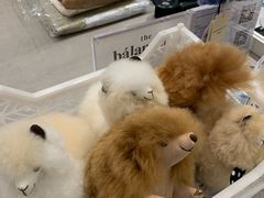 -the balancing(东方店)