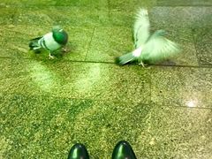 -谢列梅捷沃国际机场