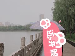 -迎泽公园