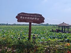 -焦岗湖旅游度假区