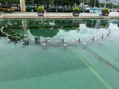 -秋水广场音乐喷泉