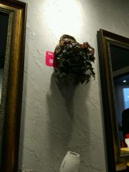 -思密达