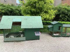 -成都安仁福朋喜来登酒店