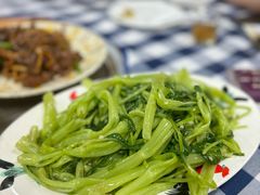 -洞密园美食城(富华路店)