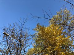 -辽宁大学(崇山校区)