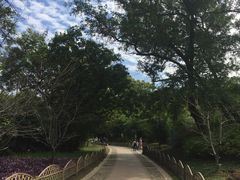 -采石矶景区