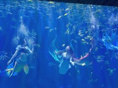 -华夏文旅海洋公园