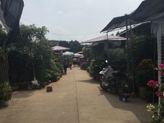 -桂林市花鸟市场