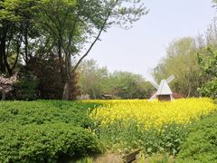 -圩墩遗址公园