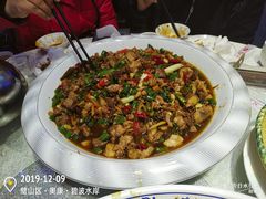 -新概念来凤鱼(璧山店)