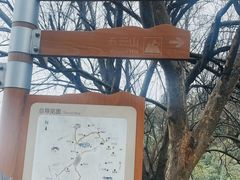 -十里琅珰