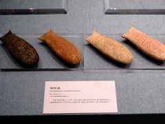 -上海中国航海博物馆