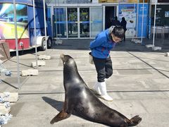 -烟台海昌鲸鲨海洋公园
