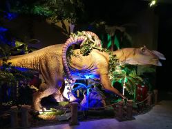 -恐龙探索乐园(磁器口店)