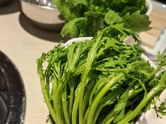-浩爷羊蝎子火锅(望京店)