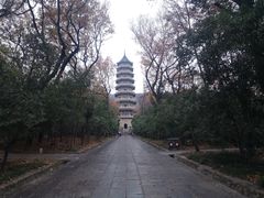 -灵谷景区