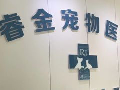 -睿金宠物医院·CT·肿瘤·骨外科