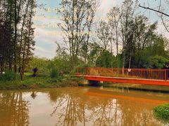 -桤木河湿地公园