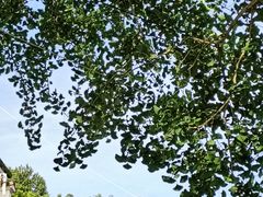 -众神白水涧景区