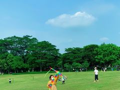 -东莞植物园
