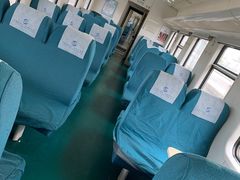 -向民炒鸡老店(火车站店)