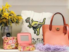 -COACH蔻驰(星光68广场店)