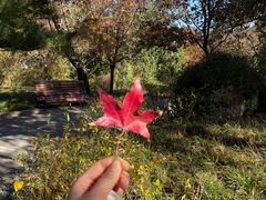 -香山公园