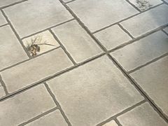 -恩宁刘福记(东华东路店)