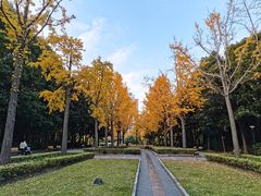 -苏州河梦清园环保主题公园