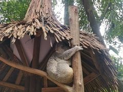 -广州长隆国际大马戏