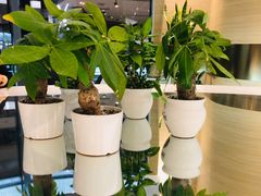 -奈雪的茶(凯德新都心店)