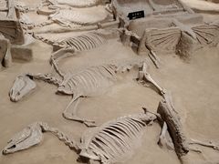 -洛阳周王城天子驾六博物馆